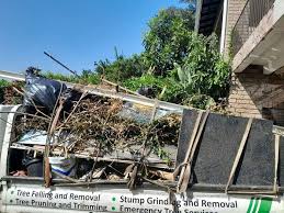 Best Construction Debris Removal  in Temperance, MI