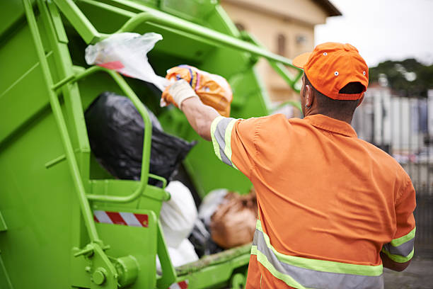Best Shed Removal  in Temperance, MI